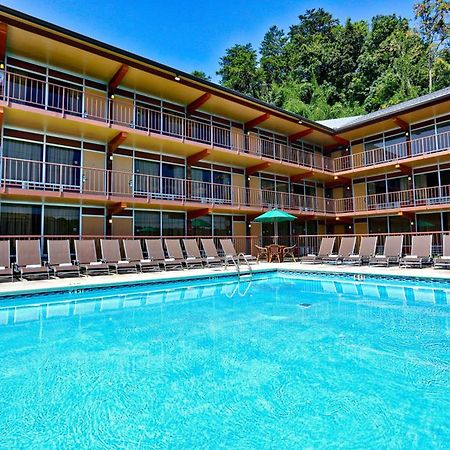 Wild Bear Inn Pigeon Forge Dış mekan fotoğraf